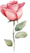 Study Bloom